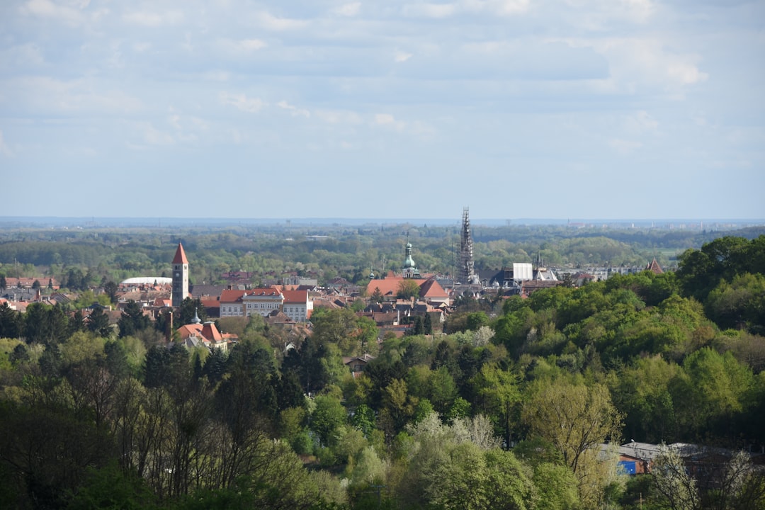 Kosmetyki naturalne produkowane w regionie Szczecina